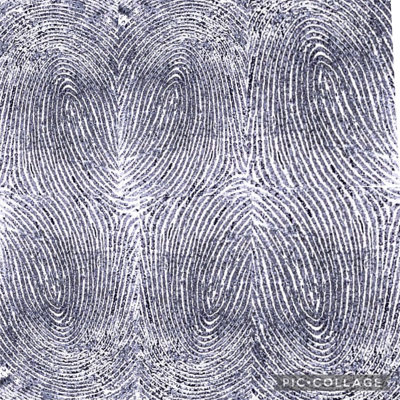 fingerprint composition